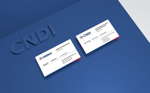 中国南山集团品牌标志设计与VI形象建设项目策划与公关服务方案