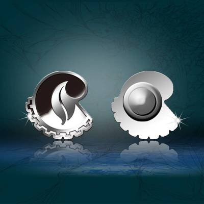 商务定制礼品的艺术 从纪念章、银币到项目策划的全方位公关解决方案